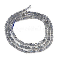 Natural Labradorite Beads Strands&nbsp;G-L597-A01-01
