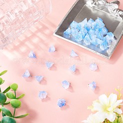 38Pcs Glass Charms&nbsp;GLAA-TADJ0001-19A