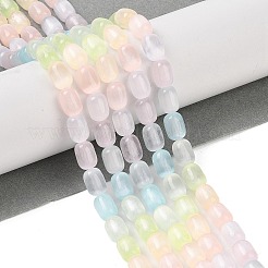 Macaron Color Natural Selenite Beads Strands&nbsp;G-F750-D01