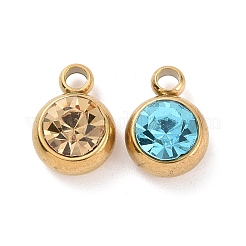 304 Stainless Steel Charms&nbsp;STAS-I165-04C-G