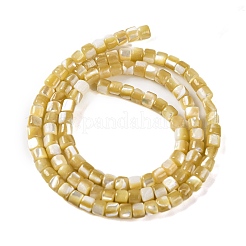 Natural Trochus Shell Beads Strands&nbsp;BSHE-S304-09A