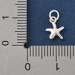 丸カン付きスターリングシルバーのヒトデチャーム925個  銀  12.5x6.5x2mm  穴：2mm&nbsp;STER-R013-01S