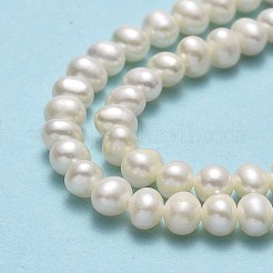 天然養殖淡水パールビーズ連売り  ポテト  ベージュ  4~5x4~5.5x4.5~5mm  穴：0.5~0.7mm  約76~81個/連  13.70~14.17インチ（34.8~36cm）&nbsp;PEAR-F018-13C-01