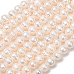 Natural Cultured Freshwater Pearl Beads Strands&nbsp;PA-CBABE82-06D