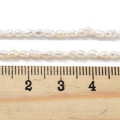 天然ケシ真珠養殖淡水真珠ビーズ連売り  バロック真珠  グレード3 A  ライス  雪  2~2.5mm  穴：3mm  約55個/連  7.09''（18センチメートル）&nbsp;PEAR-P062-21