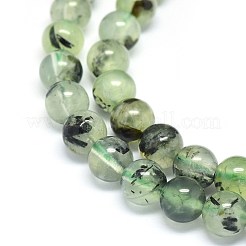 Natural Prehnite Beads Strands&nbsp;G-F602-01-8mm