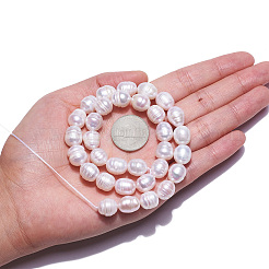天然養殖淡水パールビーズ連売り  ライス  貝殻色  10~12x9~10mm  穴：0.7mm  約32~33個/連  13.39インチ（34cm）&nbsp;X-PEAR-N012-09B