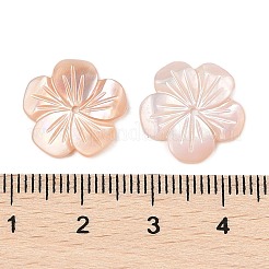 Natural Pink Shell Carved Beads&nbsp;SSHEL-I026-12C-03