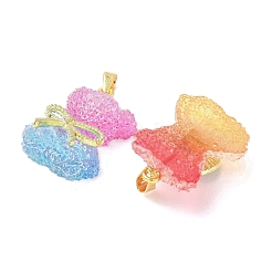 5本5スタイルレジンペンダント  クマのチャーム  ゴールデントーン真鍮パーツ  ツートン  ミックスカラー  25~26x19~21x9~11mm  穴：4.5~5.5x2~3mm  1個/スタイル&nbsp;RESI-XCP0002-28