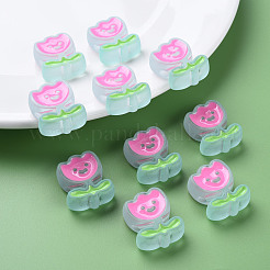 Transparent Acrylic Beads&nbsp;X-MACR-S374-03B-05