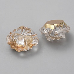 Transparent Acrylic Beads&nbsp;LS-MACR-TAC0003-04A