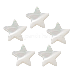 天然トロチッドシェル/トロカスシェルビーズ  漂白  スター  貝殻色  9~10x9~11x2.5mm  穴：0.5mm  30個/袋&nbsp;SHEL-CJ0001-20
