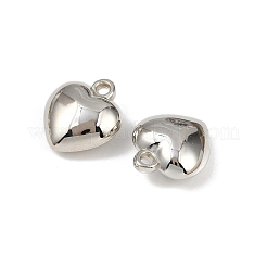 ABS Plastic Pendants&nbsp;KY-P021-01B-P