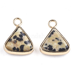 Natural Dalmatian Jasper Pendants&nbsp;G-S344-10B