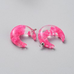 Luminous Transparent Resin Pendants&nbsp;RESI-WH0081-01B