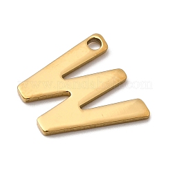 304 Stainless Steel Charms&nbsp;STAS-B093-12G-W