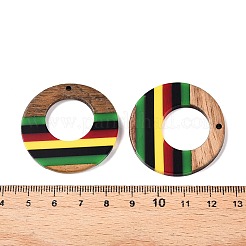 Jamaican Colour Epoxy Resin & Walnut Wood Pendants&nbsp;RESI-N039-122U