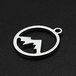 Non-Tarnish 304 Stainless Steel Charms&nbsp;A-STAS-N090-LA003