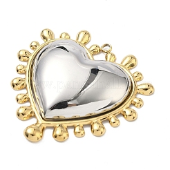 Two-tone 304 Stainless Steel Big Pendants&nbsp;STAS-G371-19P