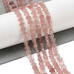 Natural Strawberry Quartz Beads Strands&nbsp;G-H087-C03-01