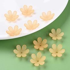 Transparent Acrylic Beads&nbsp;X1-MACR-S373-107-D01
