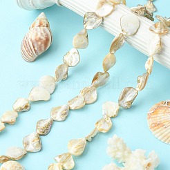 Handmade Shell Beads Strands&nbsp;PBB471-1