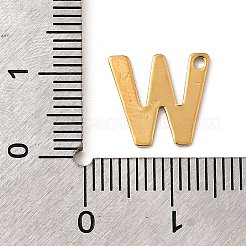 304 Stainless Steel Charms&nbsp;STAS-B093-12G-W