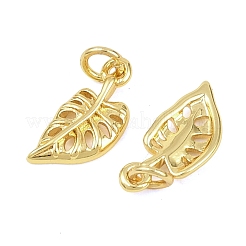 Brass Pendants&nbsp;KK-D218-12G-01