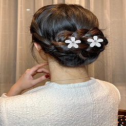 8Pcs Plastic Claw Hair Clips&nbsp;OHAR-LP0002-28