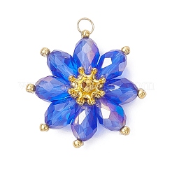 Glass Pendantns&nbsp;PALLOY-MZ01143