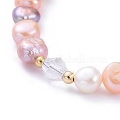 Natural Cultured Freshwater Pearl Beaded Bracelets&nbsp;BJEW-JB05269