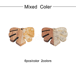 Transparent Resin & Walnut Wood Pendants&nbsp;RESI-CJ0001-53