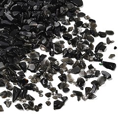 Natural Obsidian Chip Beads&nbsp;X-G-L453-08
