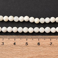 Shell Beads Strands&nbsp;SSHEL-E571-38-4mm-01