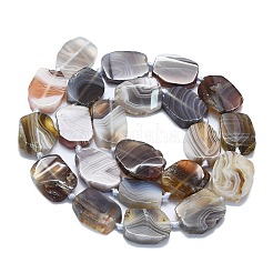 Natural Botswana Agate Beads Strands&nbsp;G-K245-J10-C01