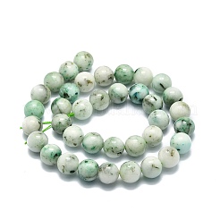 Natural Chrysocolla Beads Strands&nbsp;G-E576-04A
