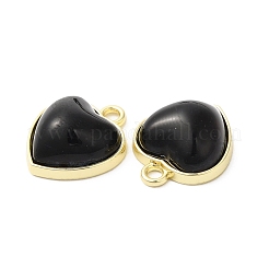 Alloy Pendants&nbsp;ENAM-D050-05G-02