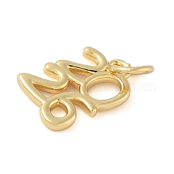 Brass Pendants&nbsp;KK-L245-24G