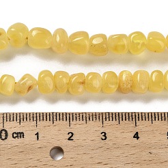 Natural Amber Beads Strands&nbsp;G-L095-J01-02