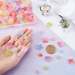 144Pcs 2 Style  Resin Cabochons&nbsp;CRES-PH0023-37