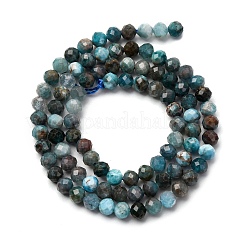 Natural Apatite Beads Strands&nbsp;X-G-A276-C08-4mm-01