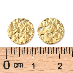 304 Stainless Steel Charms&nbsp;STAS-Q252-06G