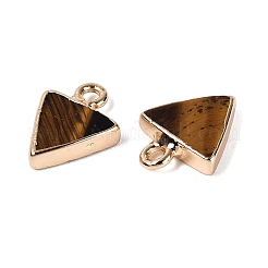 Natural Tiger Eye Pendants&nbsp;G-Q606-103G-03