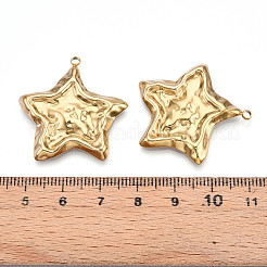 304 Stainless Steel Pendants&nbsp;STAS-N109-80G