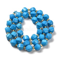 Dyed Natural Howlite Beads Strands&nbsp;G-G023-B01-02A