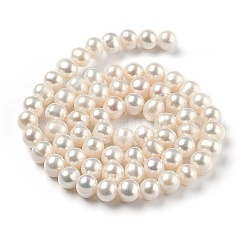 天然養殖淡水パールビーズ連売り  ラウンド  ビスク  5~6x5~6.5mm  穴：0.5mm  約67~68個/連  14.25インチ（36.2cm）&nbsp;PEAR-L033-07-01A