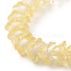 Transparent Glass Beads Strands&nbsp;LAMP-H061-01C-06
