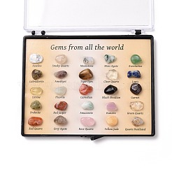 Natural Gemstones Nuggets Collections&nbsp;G-E155-02
