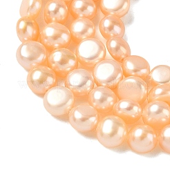 Natural Cultured Freshwater Pearl Beads Strands&nbsp;PEAR-C004-21B