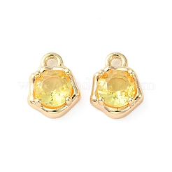 Brass Micro Pave Cubic Zirconia Charms&nbsp;KK-L208-10G-04